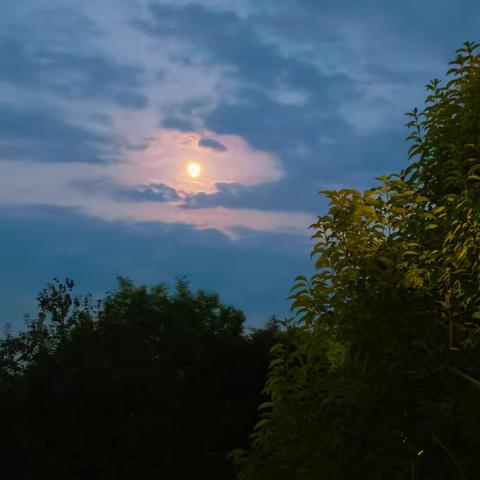 🌕月光下的团圆，零食与欢笑相伴的赏月夜🌕