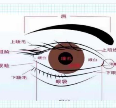 “远离手机，保护“视”界——高桥镇中心幼儿园“绿色手机”安全教育