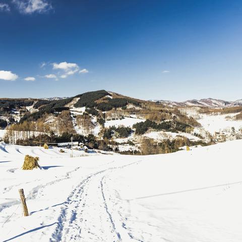 松岭雪村