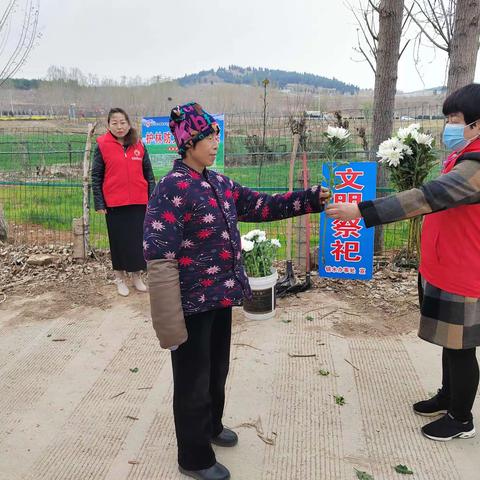 我们的节日.清明节 倡文明祭祀，鲜花寄祭哀思