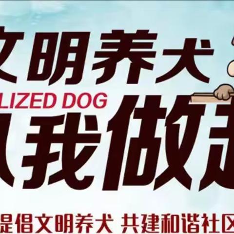 美晨社区新时代文明实践站开展“文明养犬 从我做起”文明养犬宣传活动