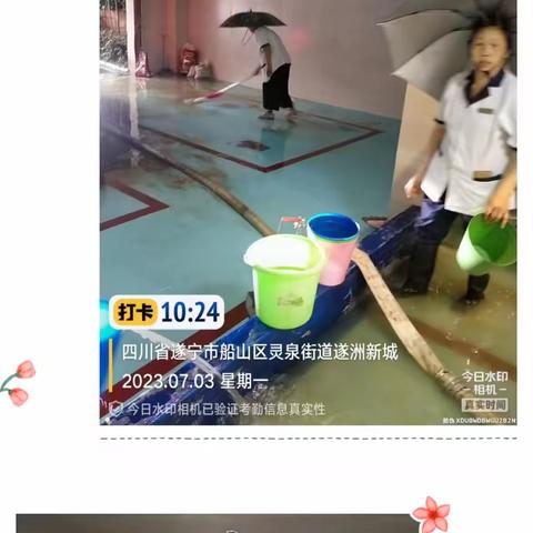 暴雨⛈过后…