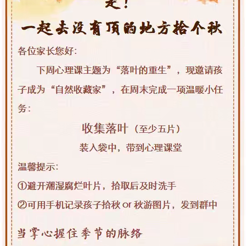 心灵奇遇之——落叶知秋