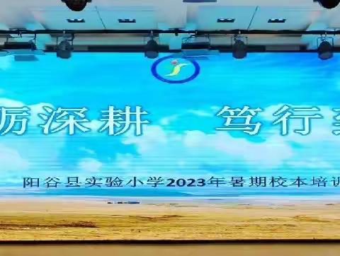 砥砺深耕，笃行致远---阳谷县实验小学2023年暑期校本培训（五）