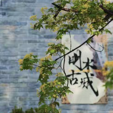 夏季出游（周三五七发团，够10人每天发团）