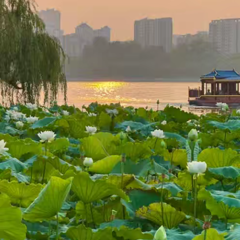 济南休闲一日游