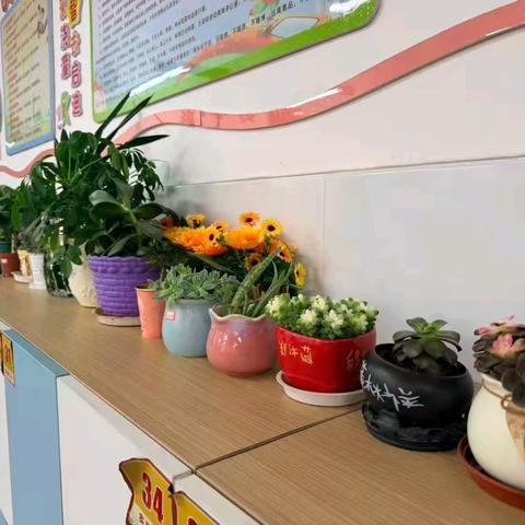 植绿护春守初心 播种希望向未来---宁晋县新安路小学植树节主题活动