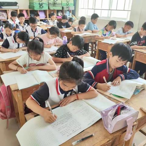 妙笔生花抒真情，奇思妙想构华章——胡营小学中高年级限时作文大赛