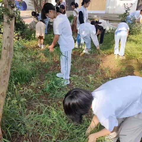 茨芭镇薛村学校六年级生活掠影