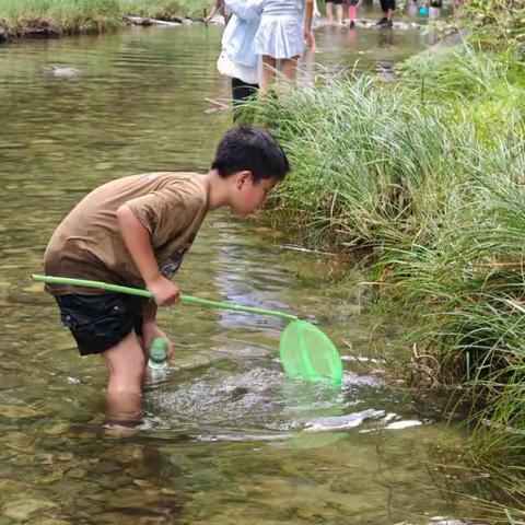 夏日里的清凉与成长