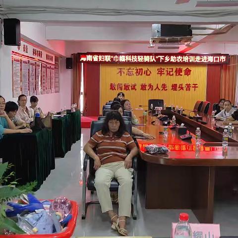 海南省妇联“巾帼科技轻骑队”下乡助农培训走进西秀镇