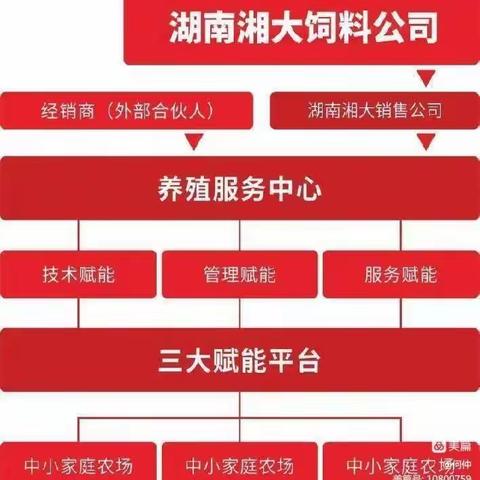 湖南湘大葛家养殖服务中心挂牌签约仪式圆满举行