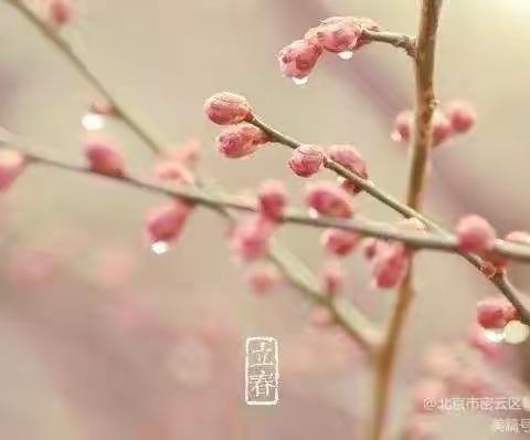 馨苗蕾幼儿园💖二十四节气～立春💖