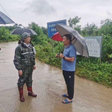 闻“风”而动  聆汛而行  那大镇党委书记程建华深入一线督导检查防风防汛工作