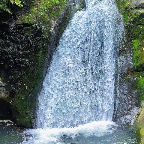 荔枝情缘起湘西，助学梦爱传千里——中山大学“荔枝行动”公益助学回访2024湘西行