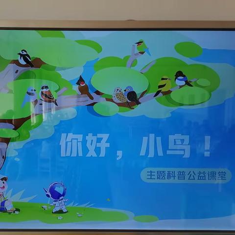 中心幼儿园《你好，小鸟！》主题科普公益课堂