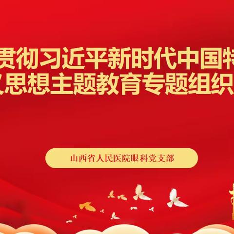 学习贯彻习近平新时代中国特色社会主义思想主题教育——眼科党支部专题组织生活会