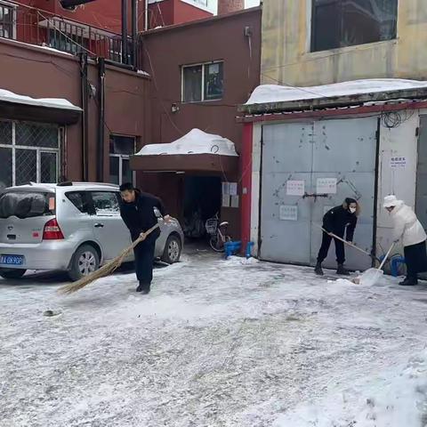 畜牧中心开展“学雷锋、清冰雪”志愿服务活动