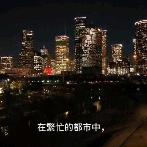 小慧同学“菜鸟学堂”