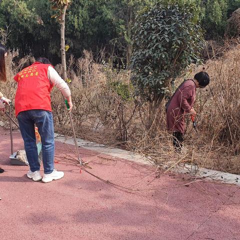 和煦春风伴花开  人居整治在行动