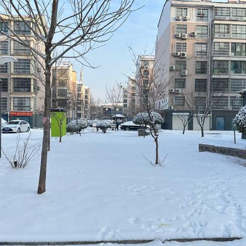 志愿铲雪扫雪，扫出“暖心路”