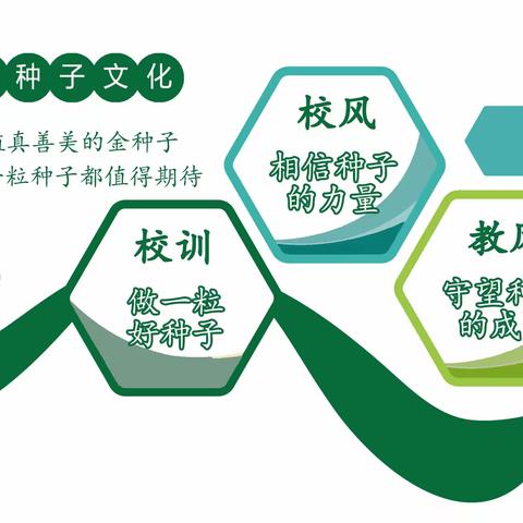 旭日东升祥云起 ， 朝气蓬勃正少年—大田县第三实验小学五祖拳比赛