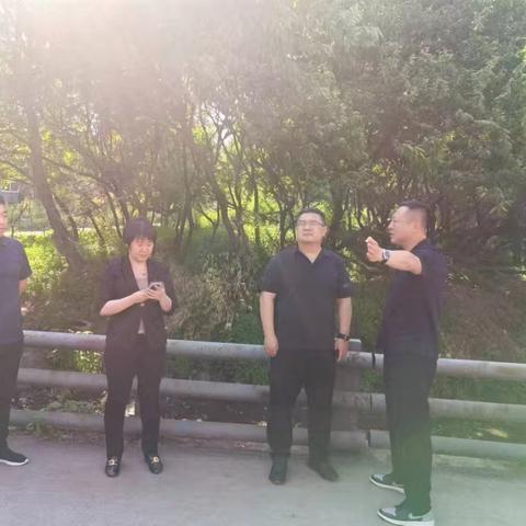 溪湖区委副书记、区长、总河长高飞开展巡河检查工作