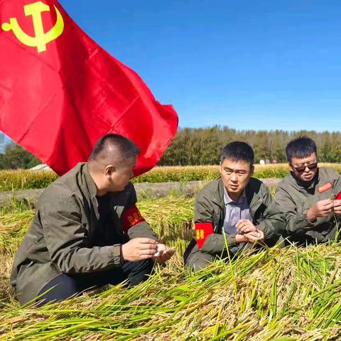 第九管理区党员服务助秋收 绘就丰收好“丰”景