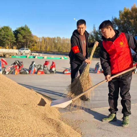 第九管理区“青”力“青”为 助秋收志愿服务解民忧