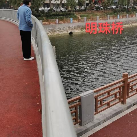 市政管理处工作日报