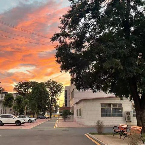 2023年暑假致家长一封信——石家庄市第六中学