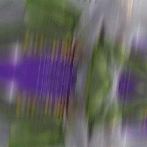 以史为鉴 以行铸光——庆幼七园《大庆市幼教中心发展史》座谈会