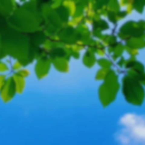 书香润童年 阅读伴成长——庆幼七园读书日活动