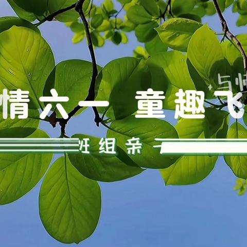 粽情六一 童趣飞扬——庆幼七园中班组亲子自然游戏会