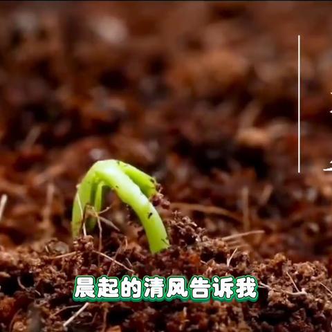 二十四节气之立夏——庆幼七园大班组立夏活动