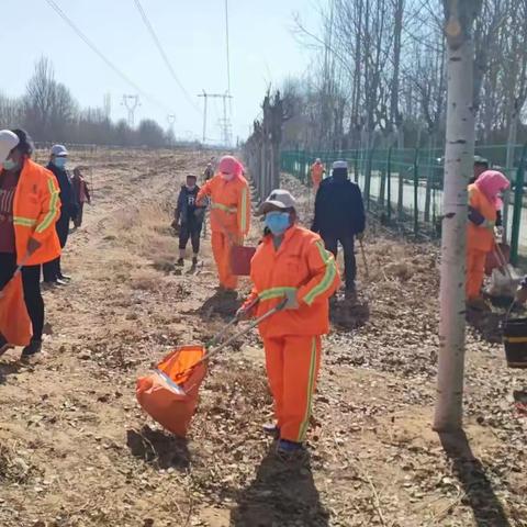 做好沟渠林带环境卫生整治，提升环境卫生质量
