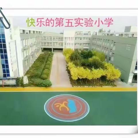 我劳动 我快乐 我成长——迁安五小六年级贮藏苹果劳动实践活动