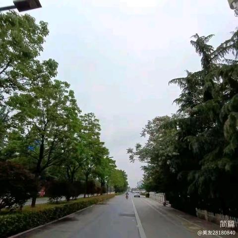 当真性红细胞增多症遇见脑卒中
