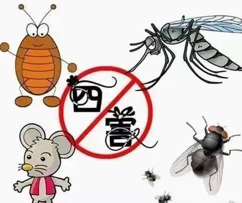 爱国卫生|病媒生物防制知识科普