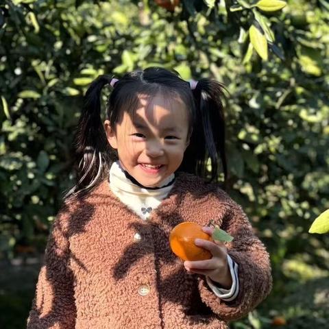 《你好呀！橘子🍊》