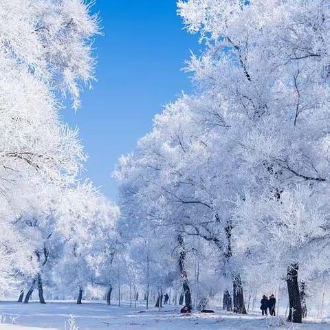 中一班遇见大雪