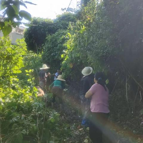 【岭背镇谢屋村新时代文明实践站】创卫行动进行时 晚稻种植生产忙