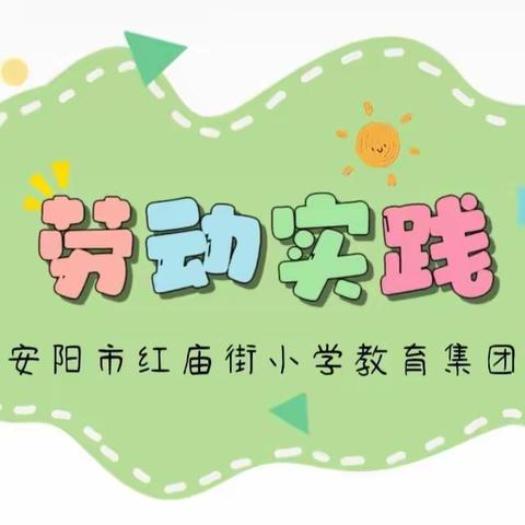 “劳”以启智 “动”以润心——安阳市红庙街小学教育集团劳动课剪影