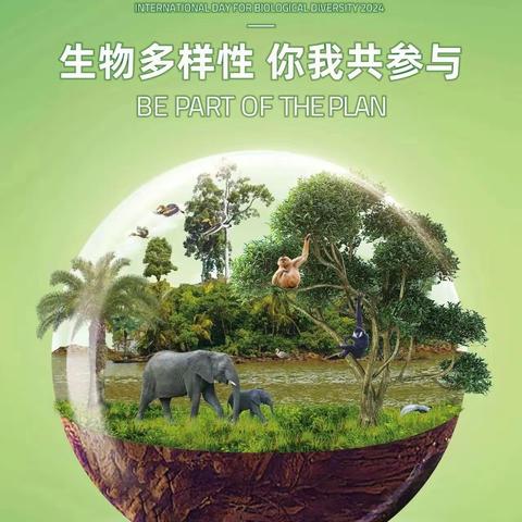 【生态文明】生物多样性 你我共参与 ——经开三小开展国际生物多样日主题宣讲活动