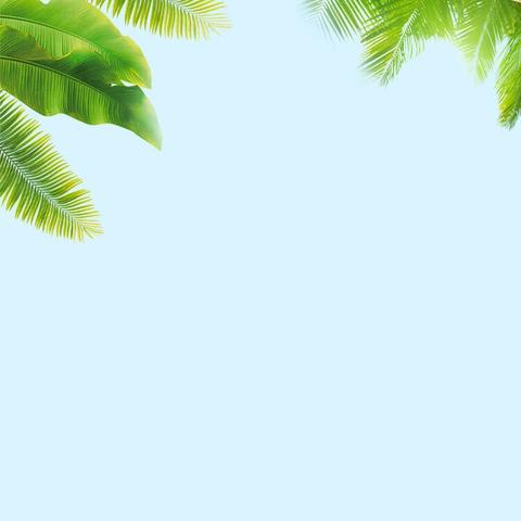 向阳花开，共赴成长之约 ——经开三小各年级放假典礼暨颁奖仪式