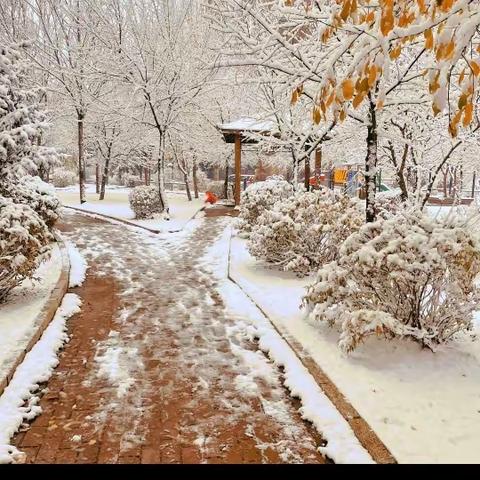 初冬迎瑞雪，同频提水平