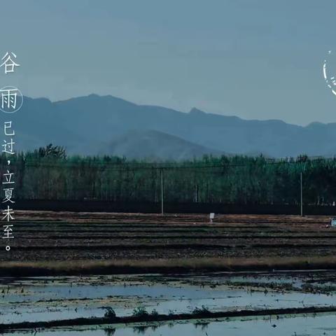 如果光会感染你……