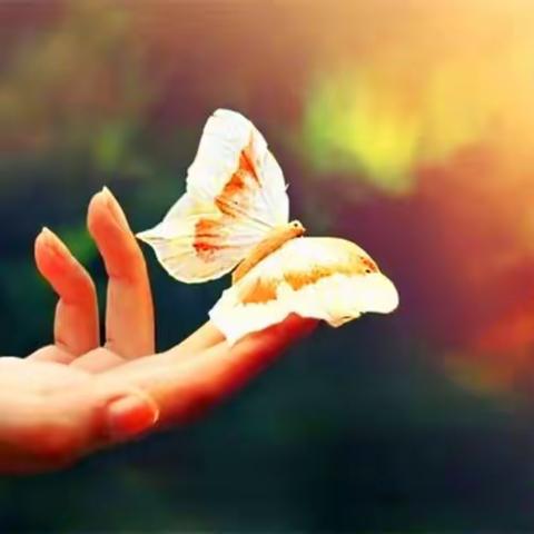 如是道第三期学修体验班  第一次空中有约金句分享