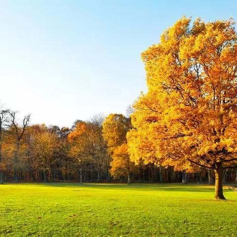 如是道第三期体验班第二次优秀修学作业感悟