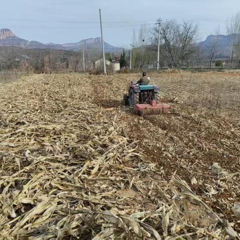 秸秆还田工作美篇